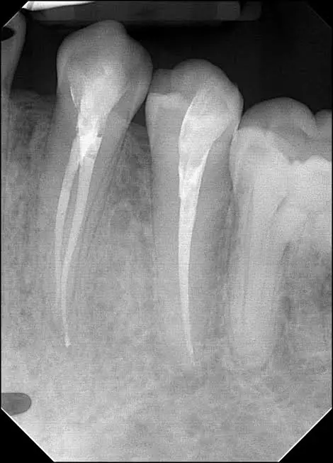 Expert Dental Care